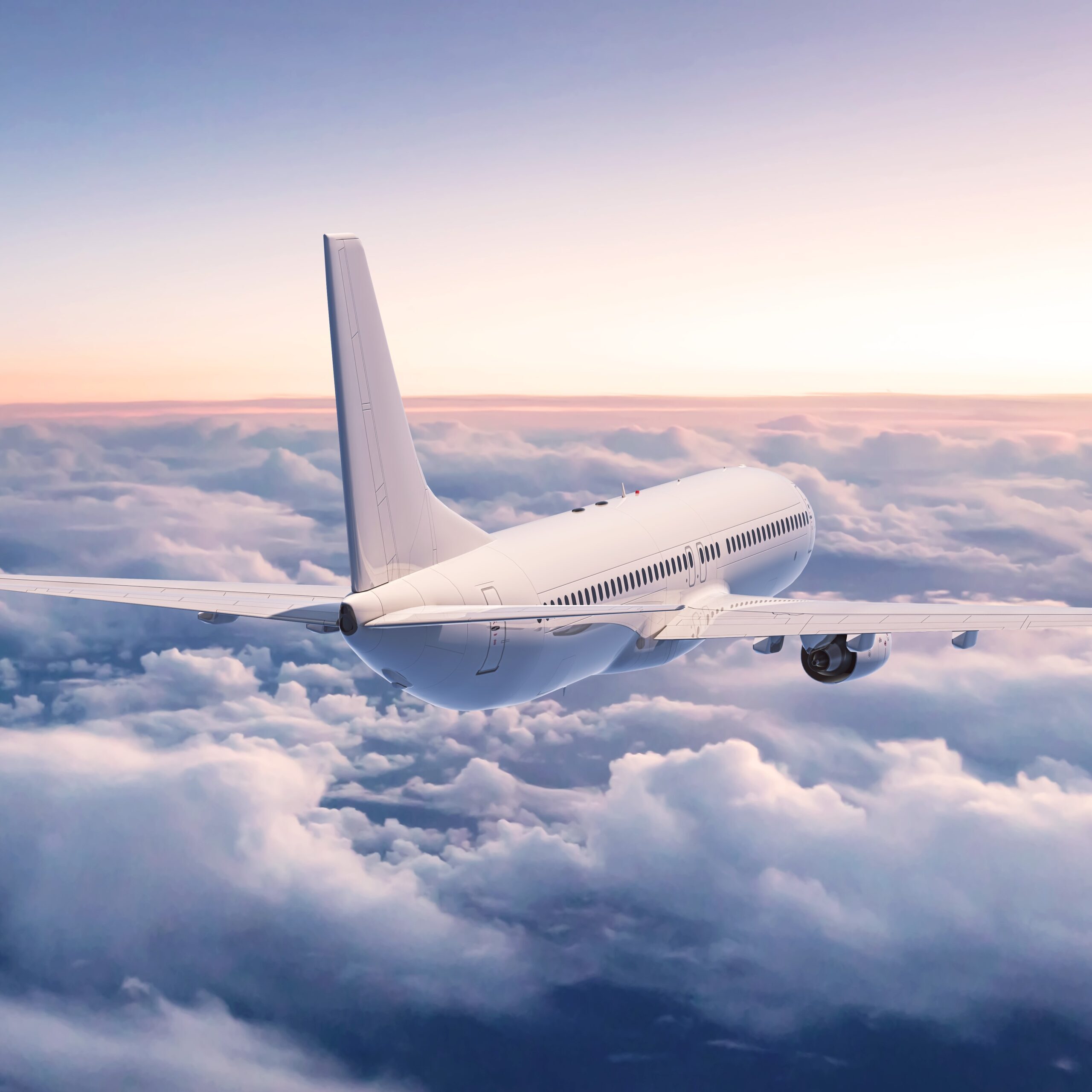 International Repatriation